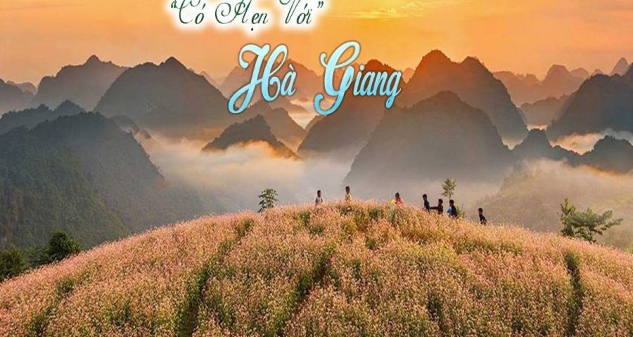 thue-xe-45-cho-di-ha-giang-du-lich-mua-tam-giac-manh-2018 (2)